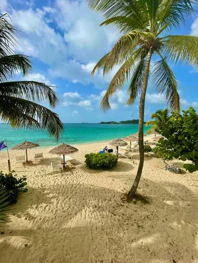 Antigua-and-Barbuda Coconuts