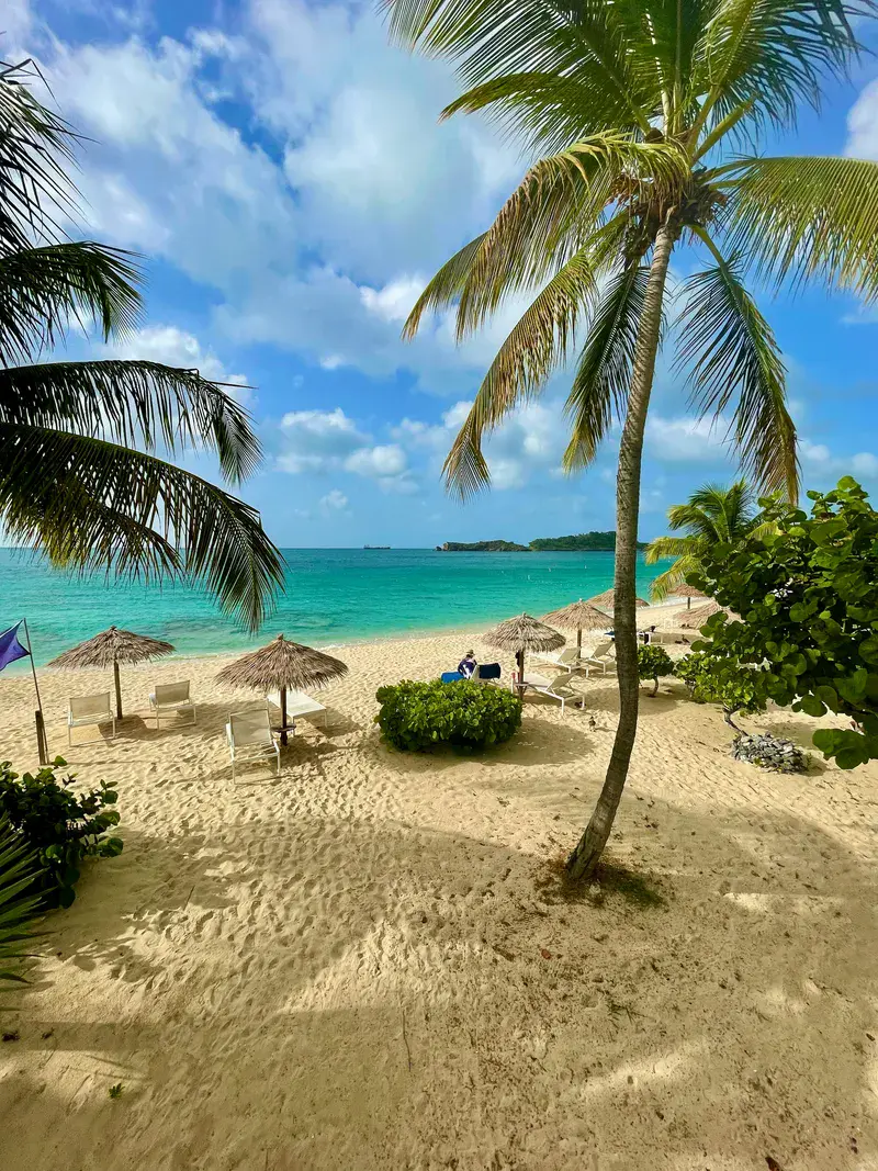 Antigua-and-Barbuda Coconuts