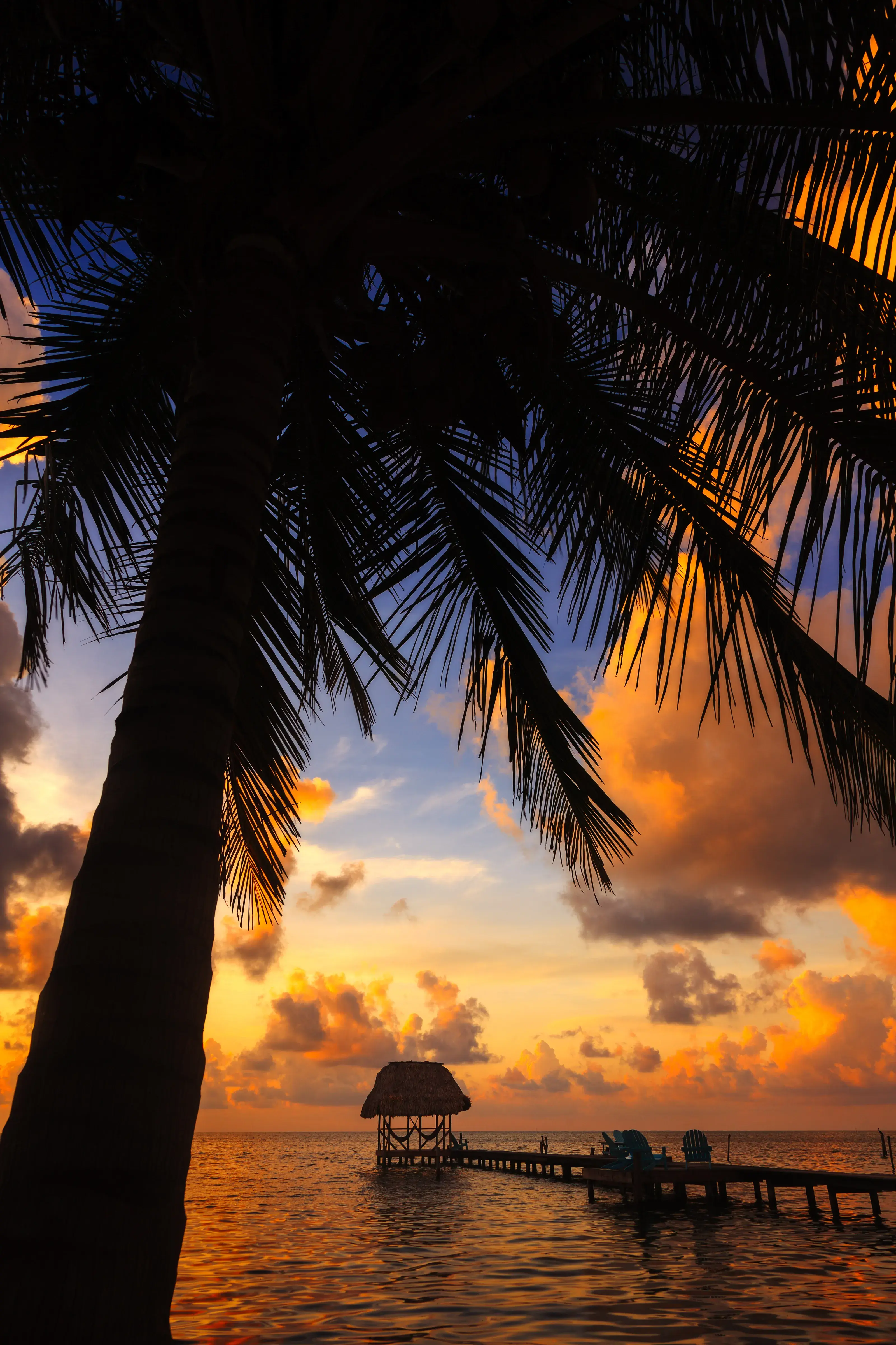 Belize Sunset Cay Cualker Coconut Tree