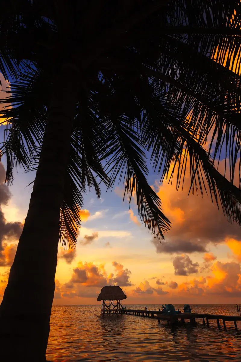 Belize Sunset Cay Cualker Coconut Tree
