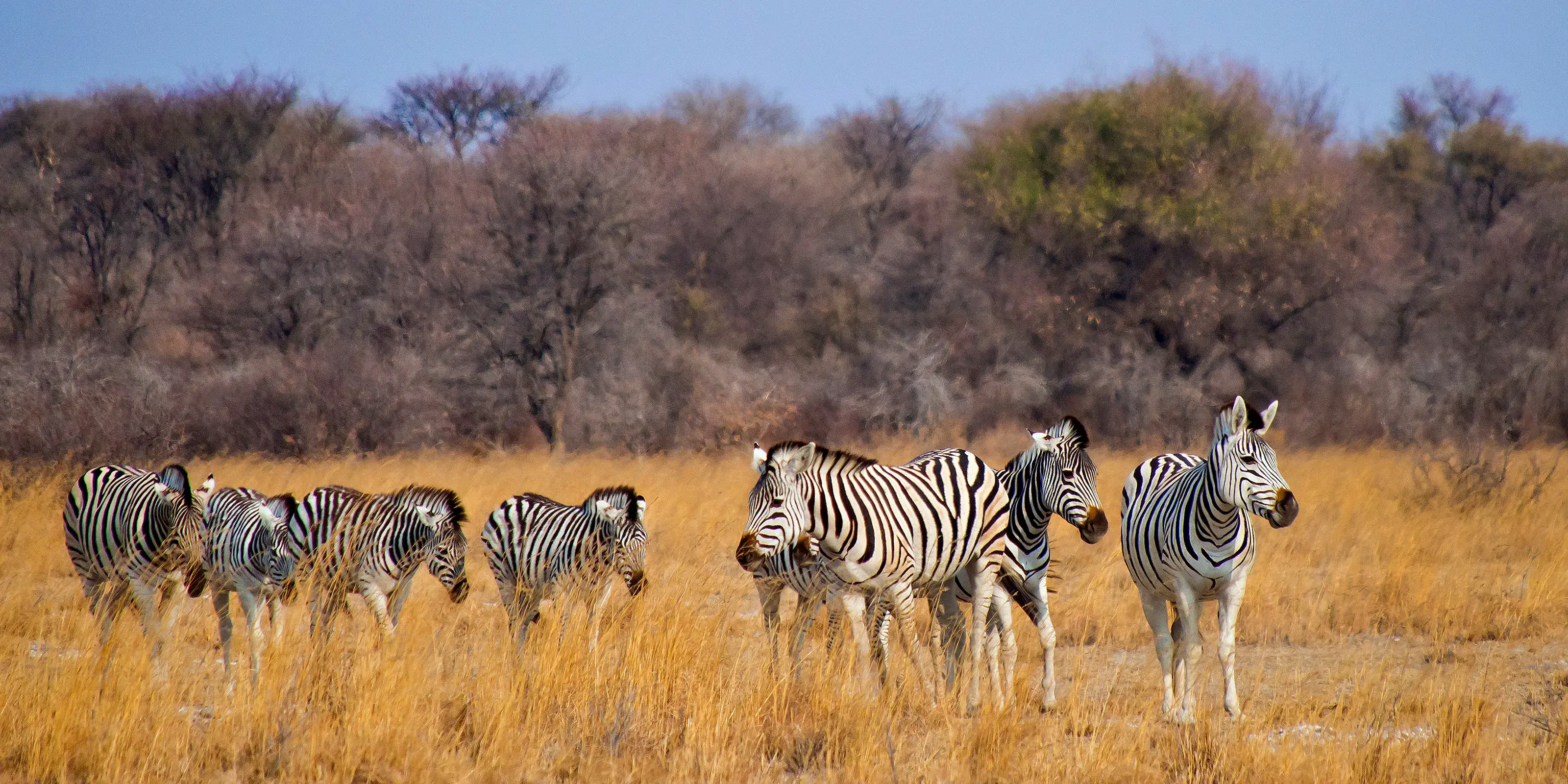 Botswana