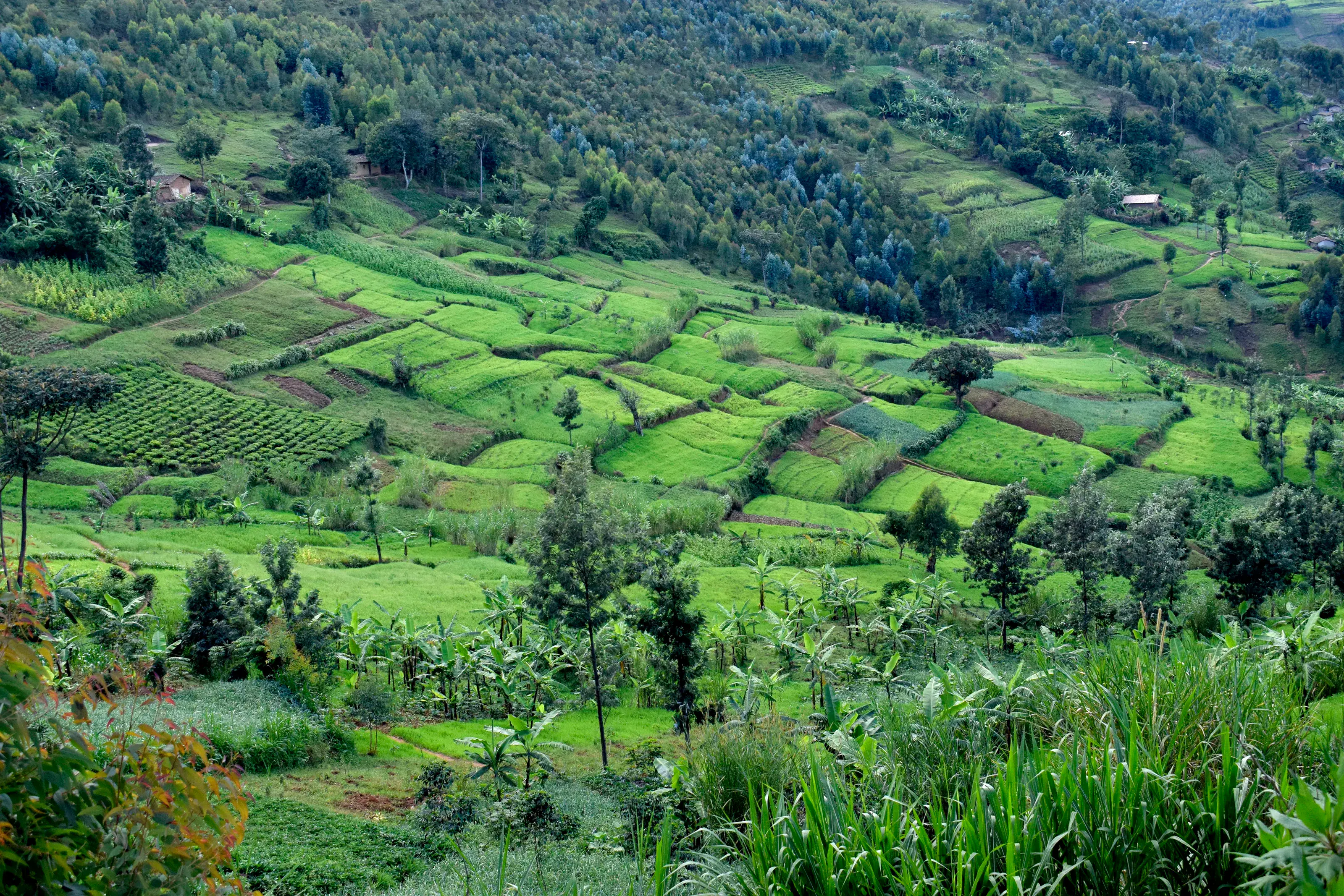 Burundi
