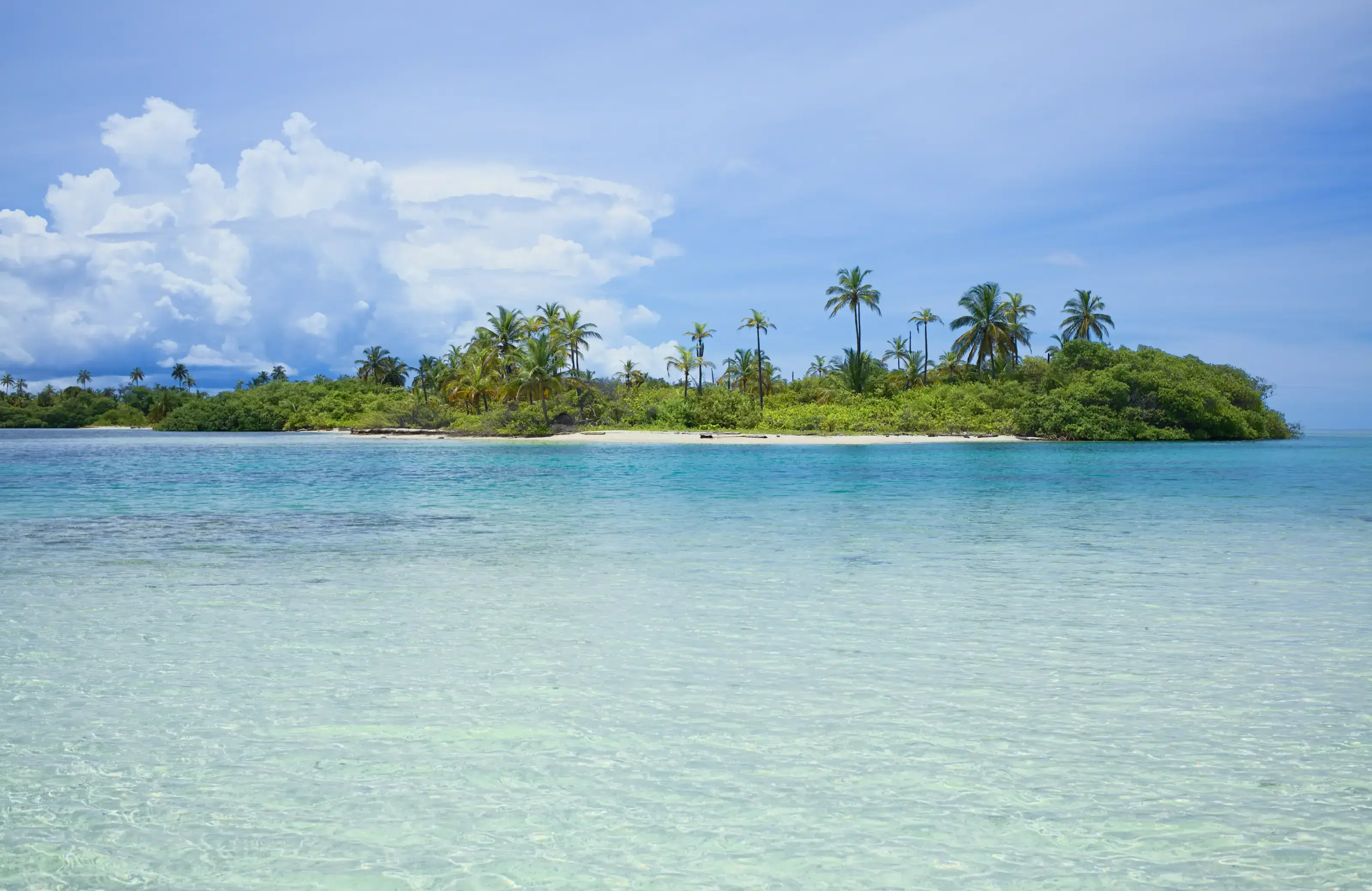 Mangroves and coconut palm trees on an island in the San Blas archipelago along the Caribbean coast of Panama