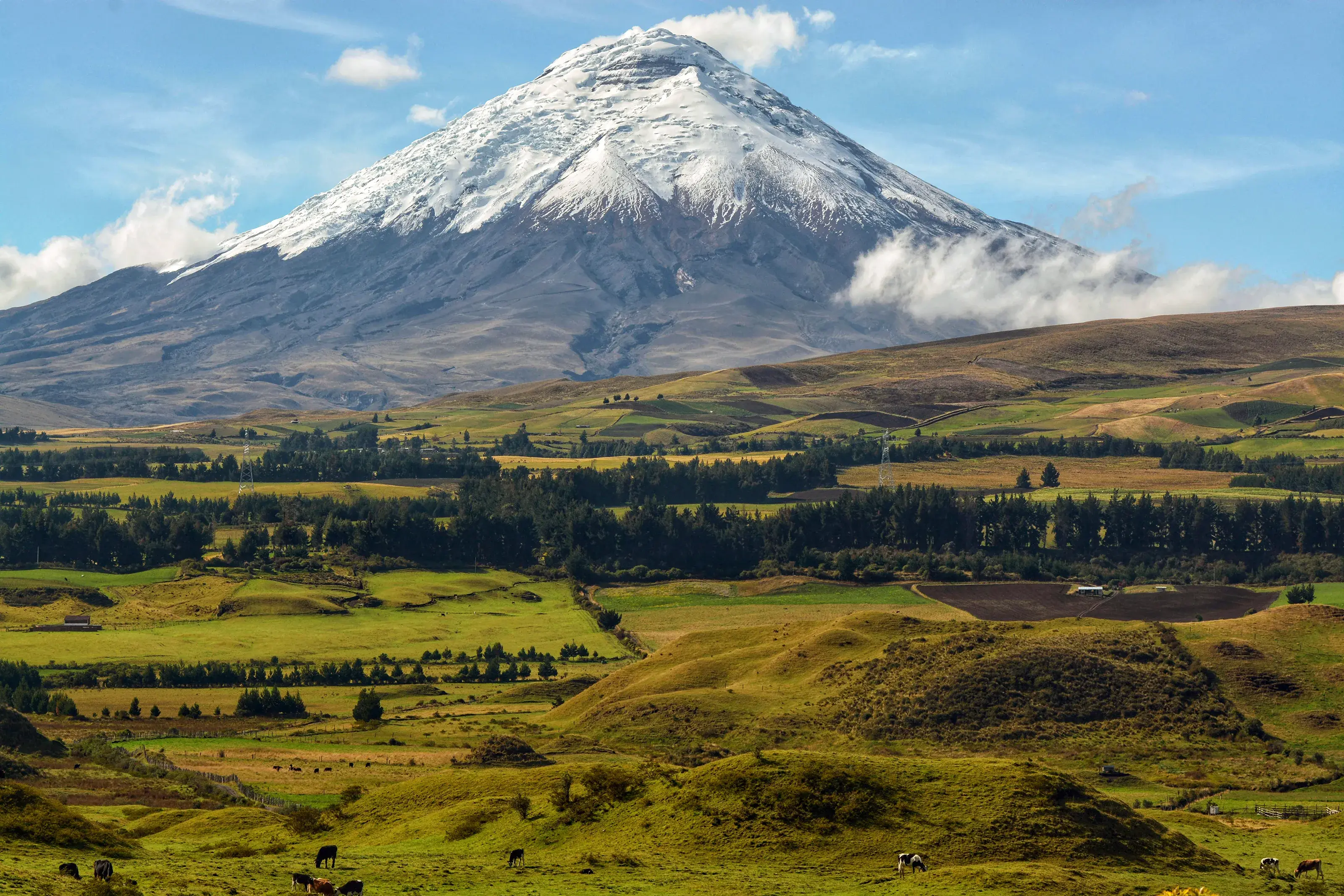 Ecuador