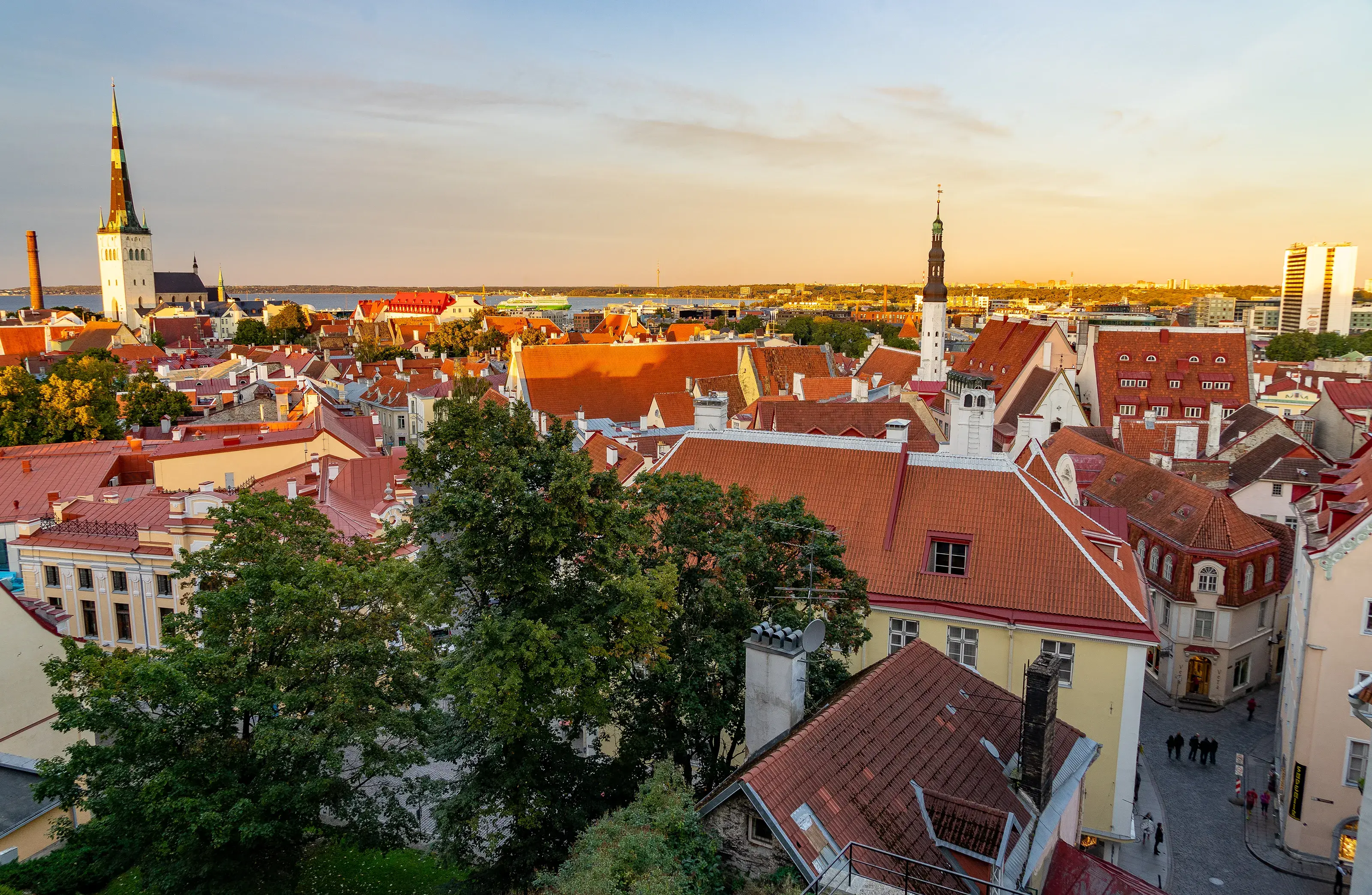 Europe Estonia Tallinn Medieval Town