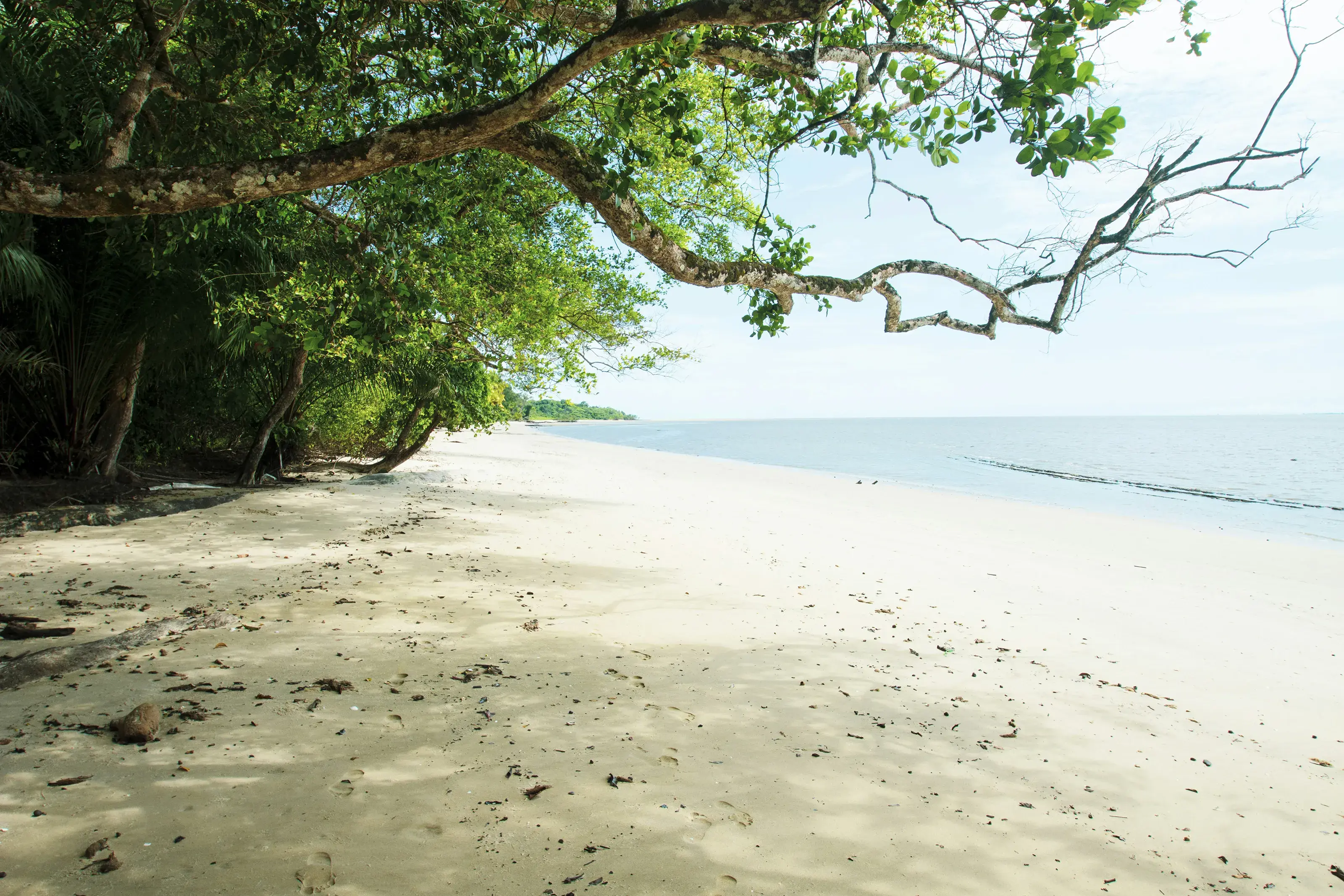 Gabon Beach