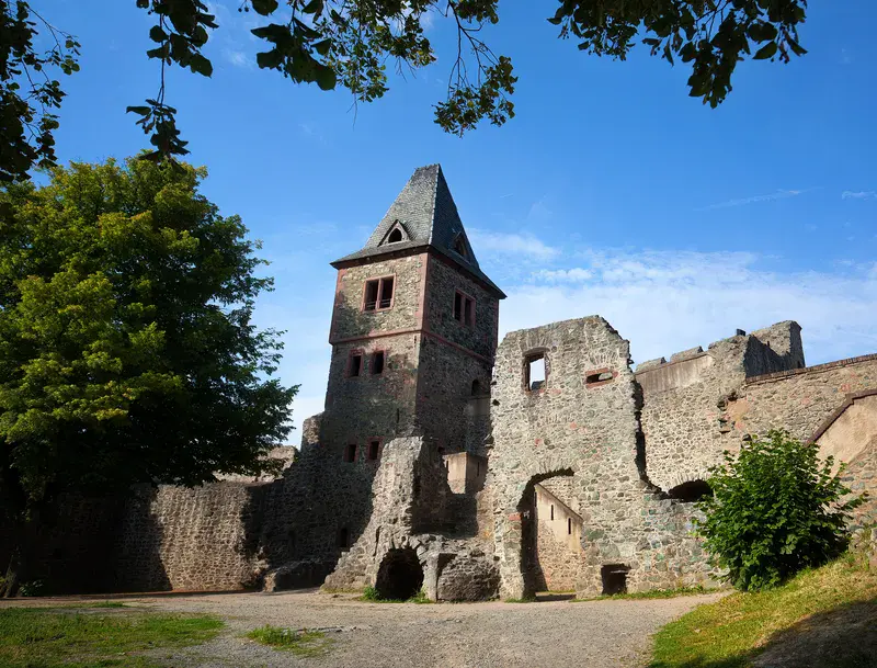 Burg Frankenstein