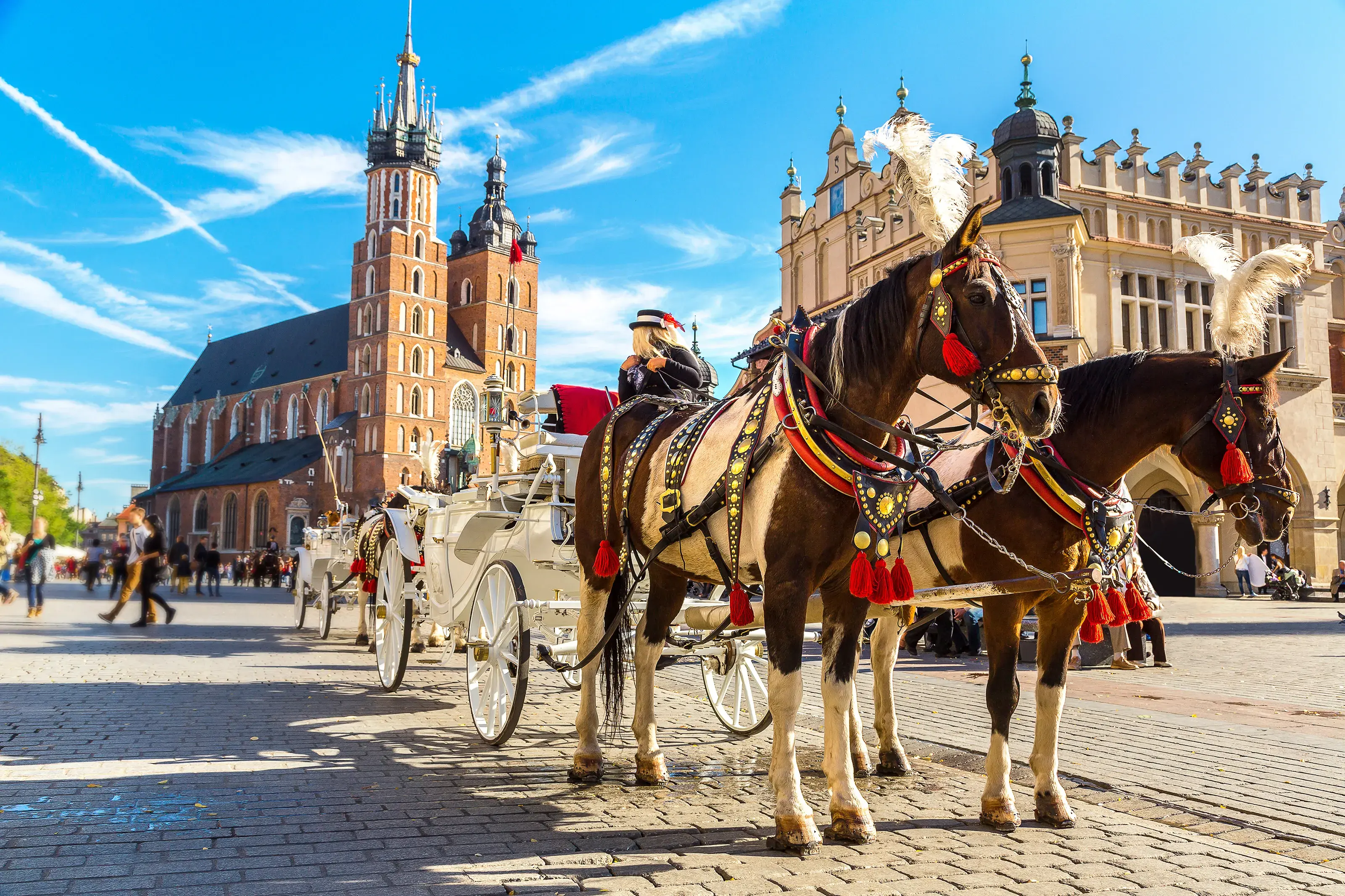 Horse carriages at main square in Krakow in a summer day, Poland