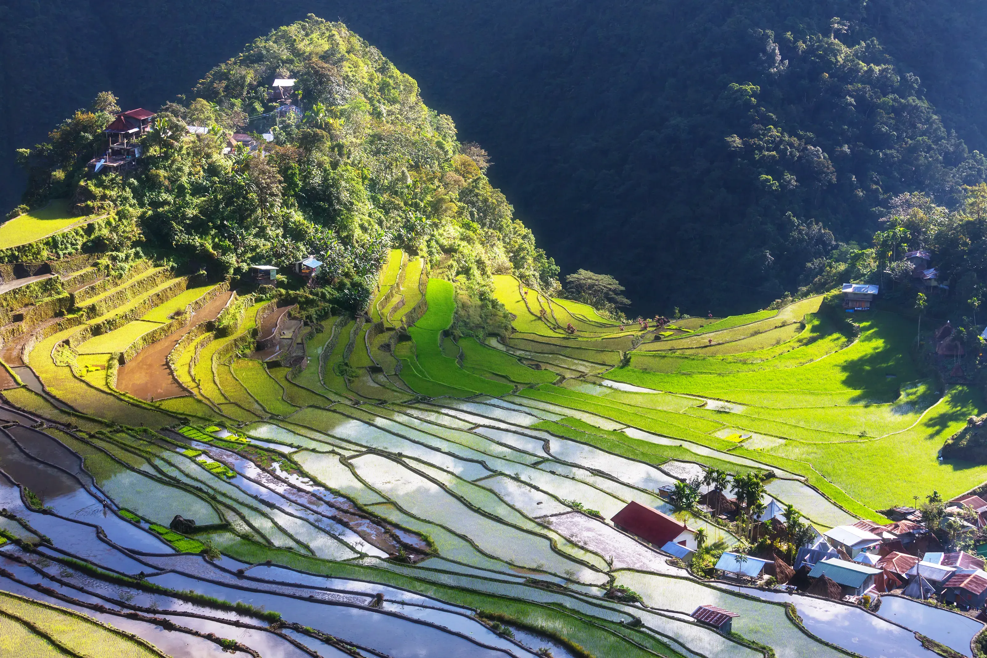Beautiful Green Rice terraces in the Philippines. Rice cultivation in the Luzon island.