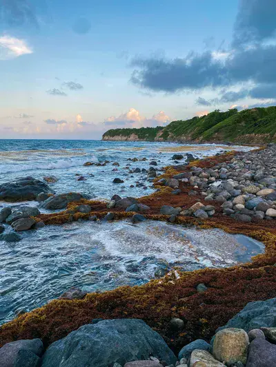 Saint Kitts And Nevis Rugged Beach