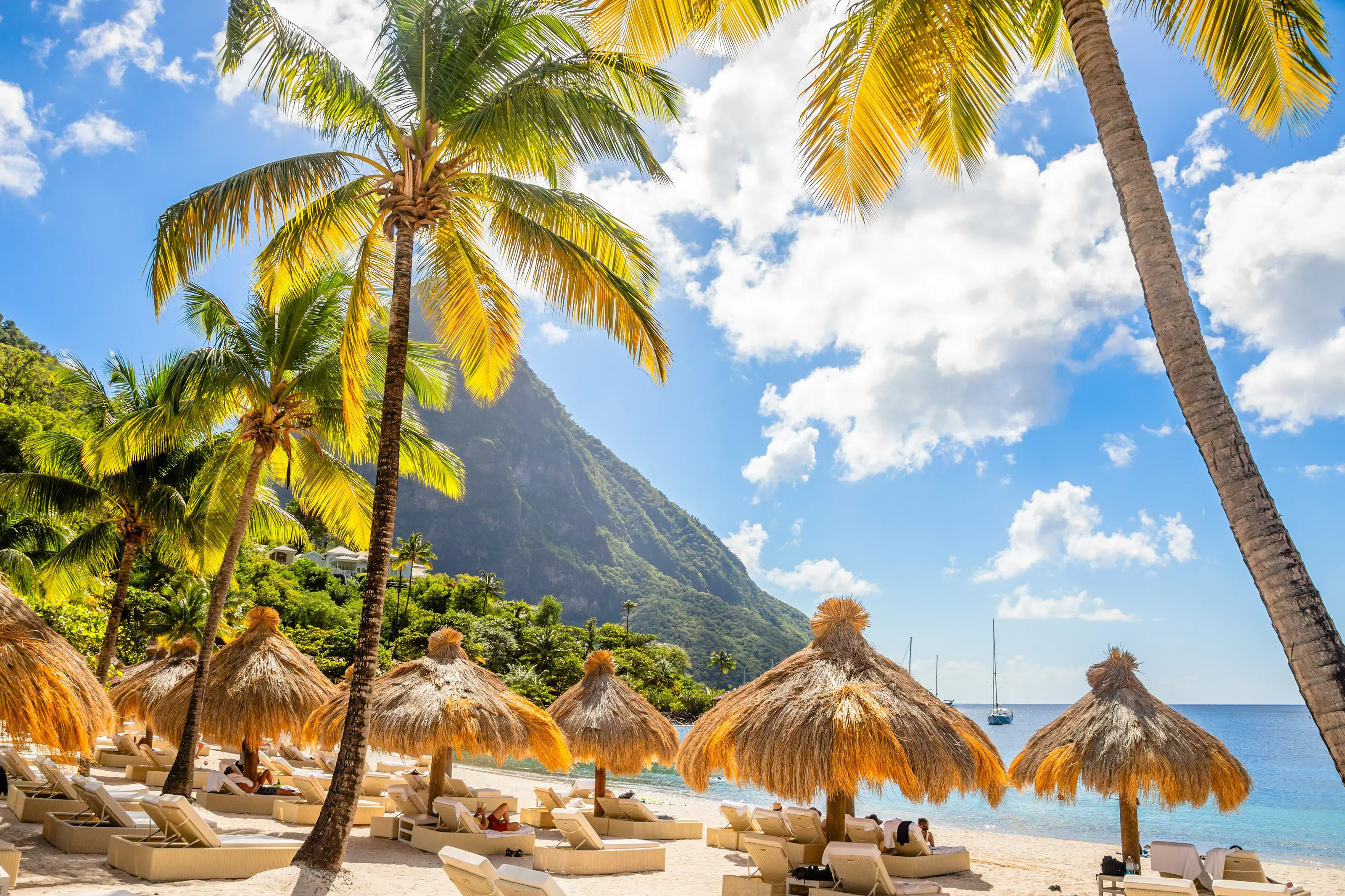 Saint Lucia Coconuts