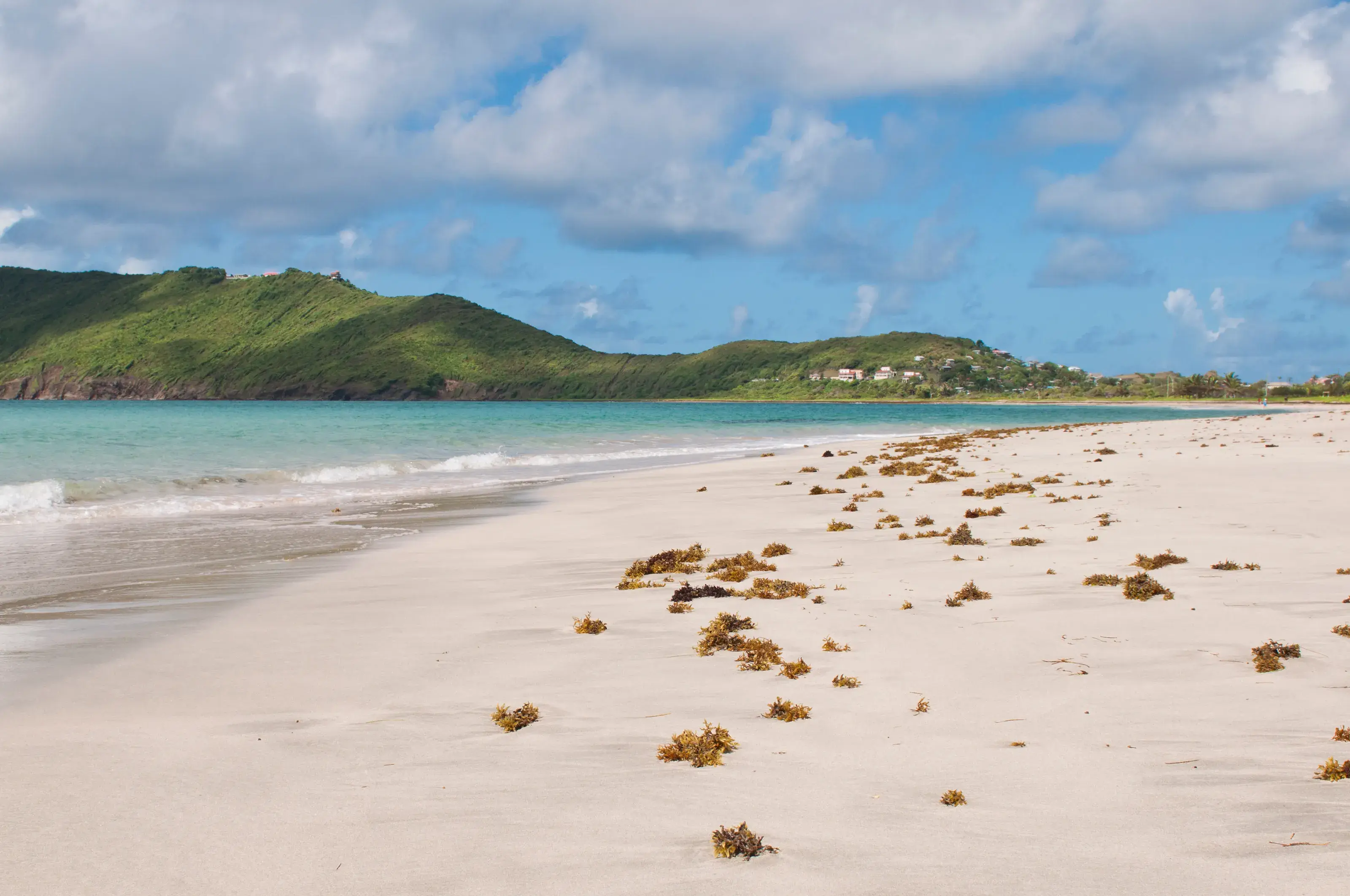 Saint Lucia Pristine Beach