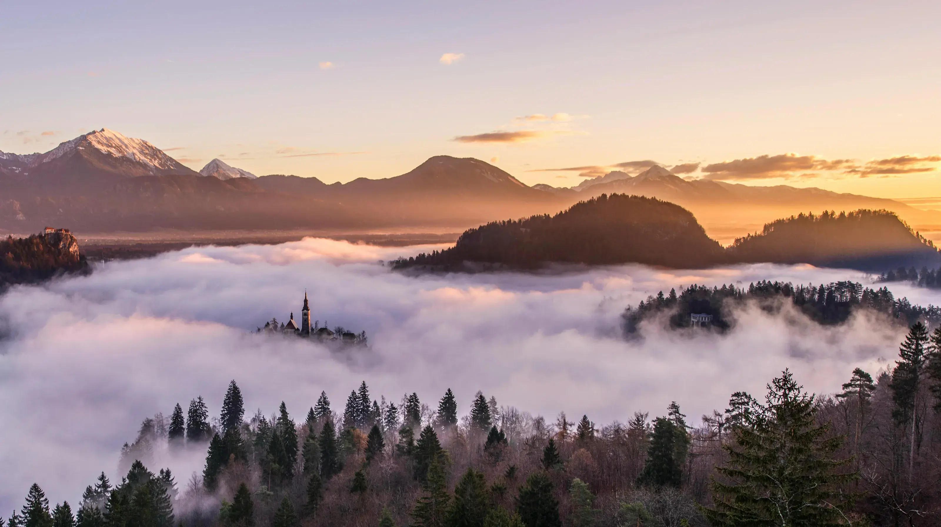Engulfed in Fog