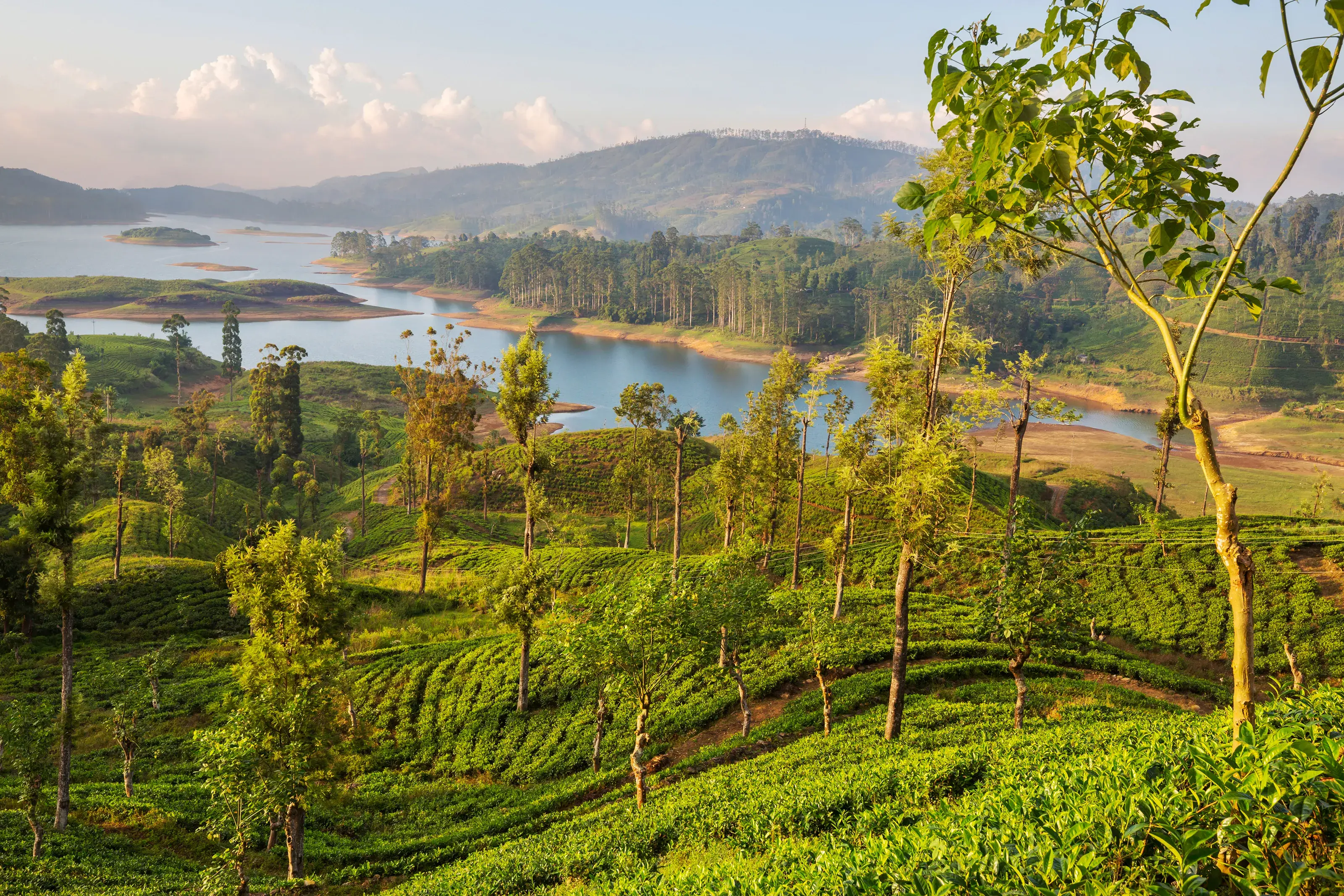 Sri Lanka