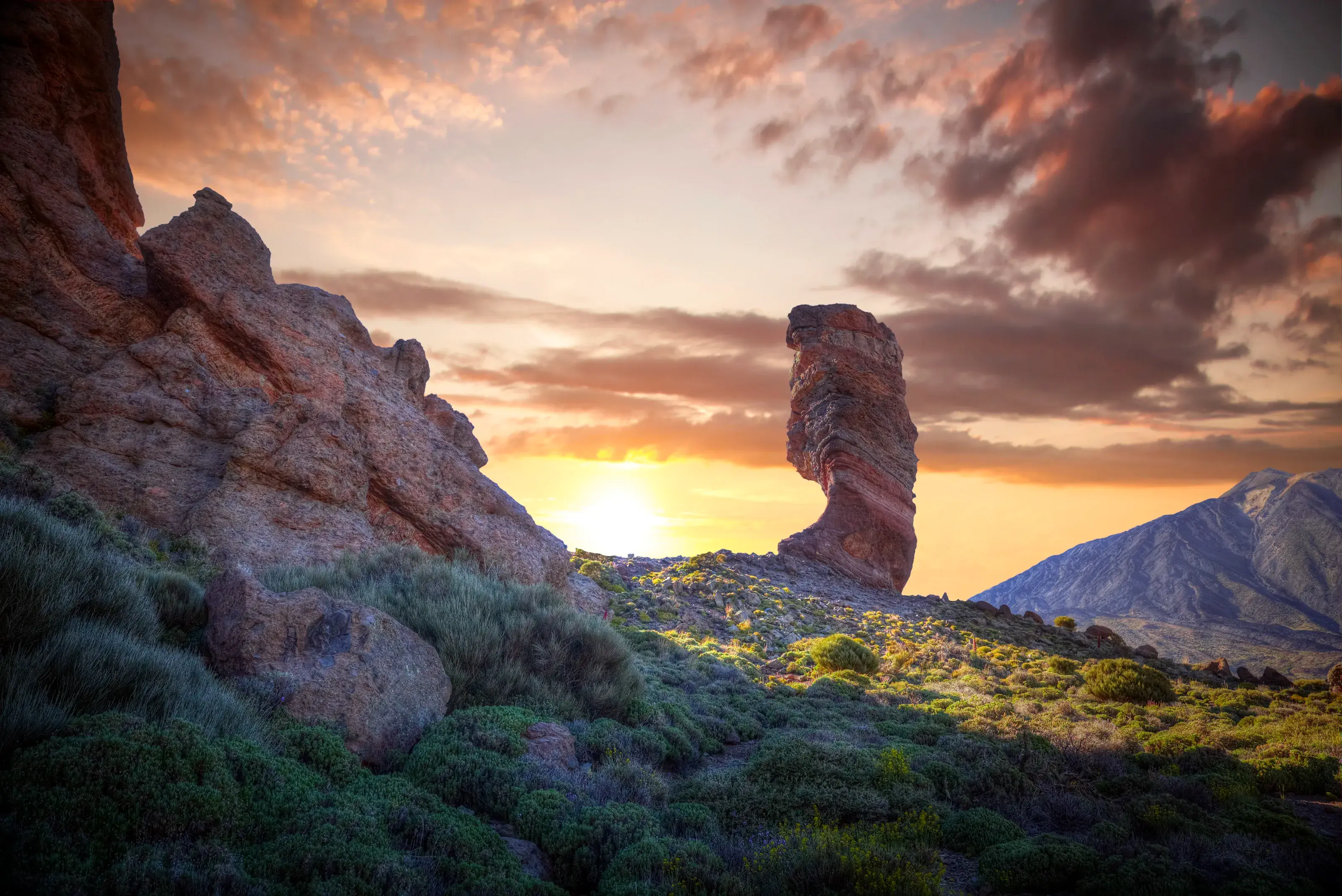 Echium wildpretii. Famous Finger Of God rock in Teide national park. Tenerife island - Canary, Spain