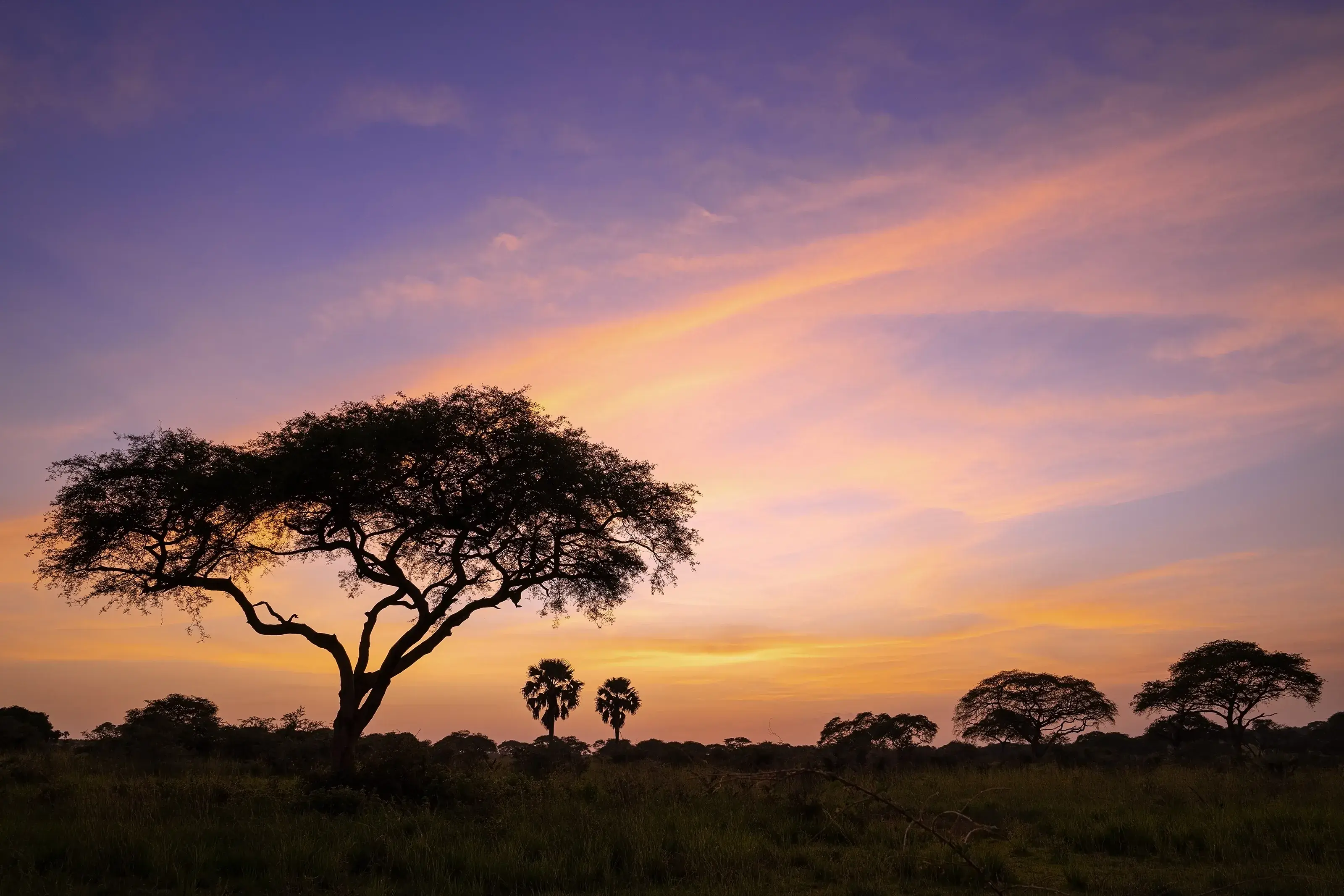 Uganda
