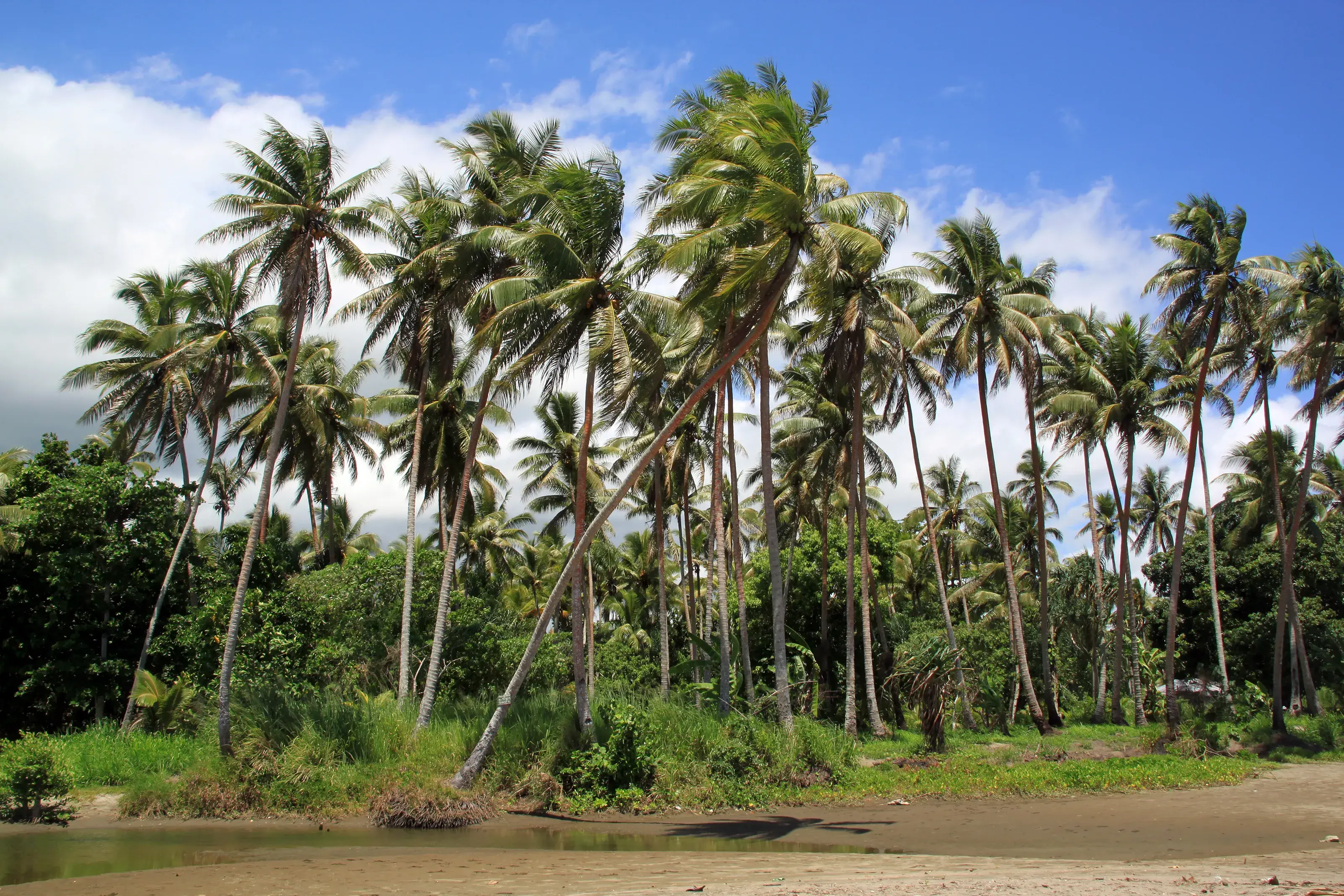 Vanuatu