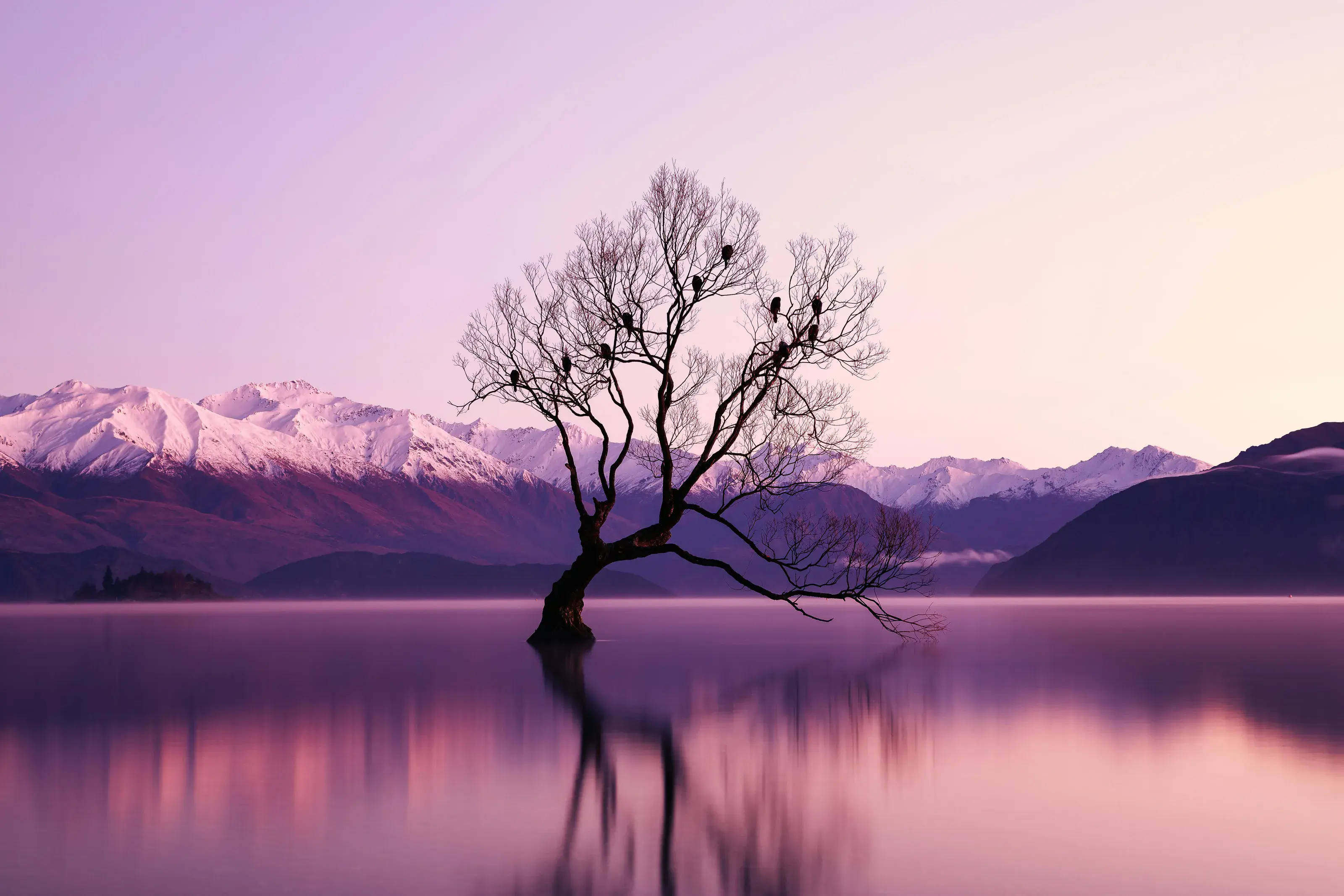 New Zealand