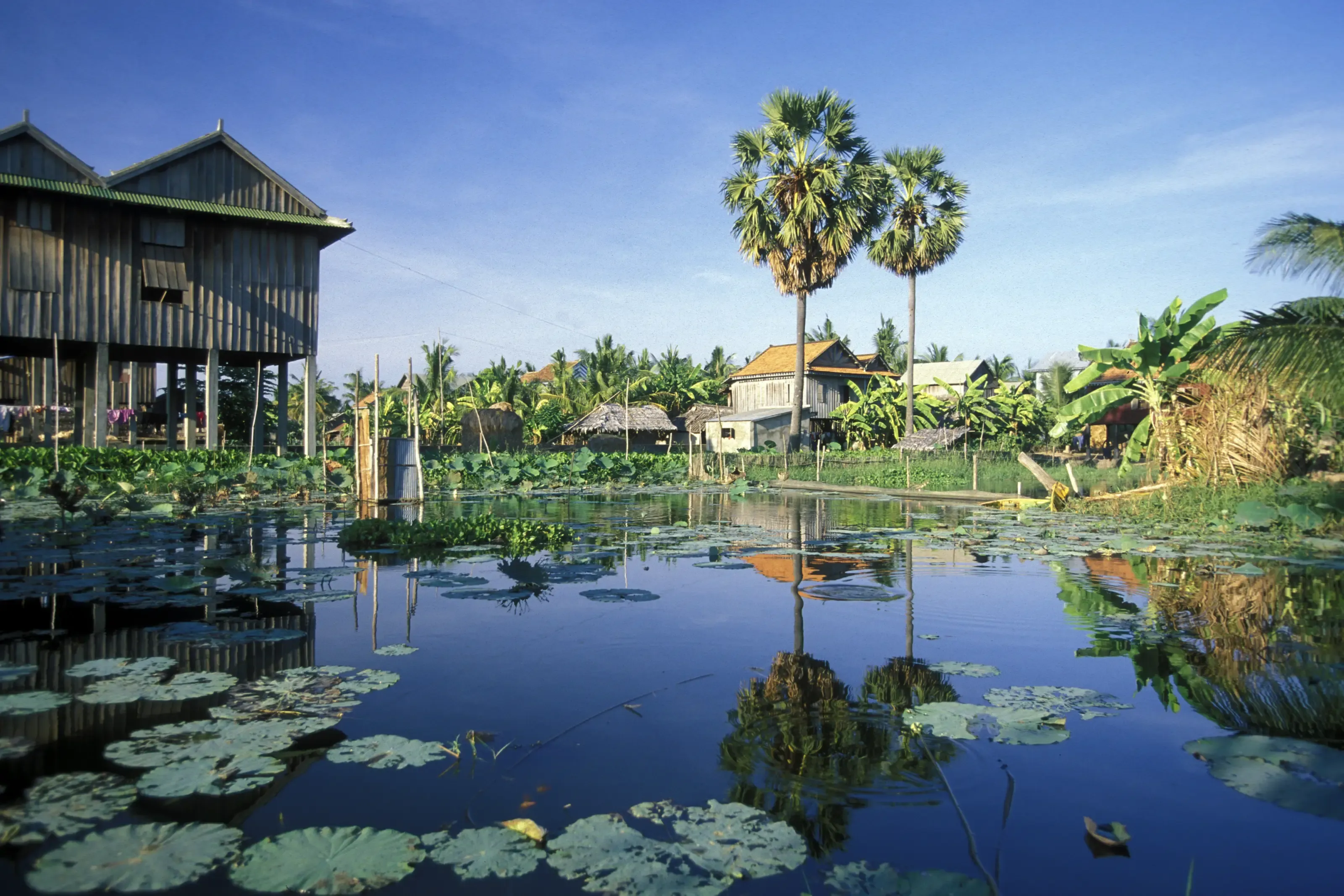 Phnom Penh