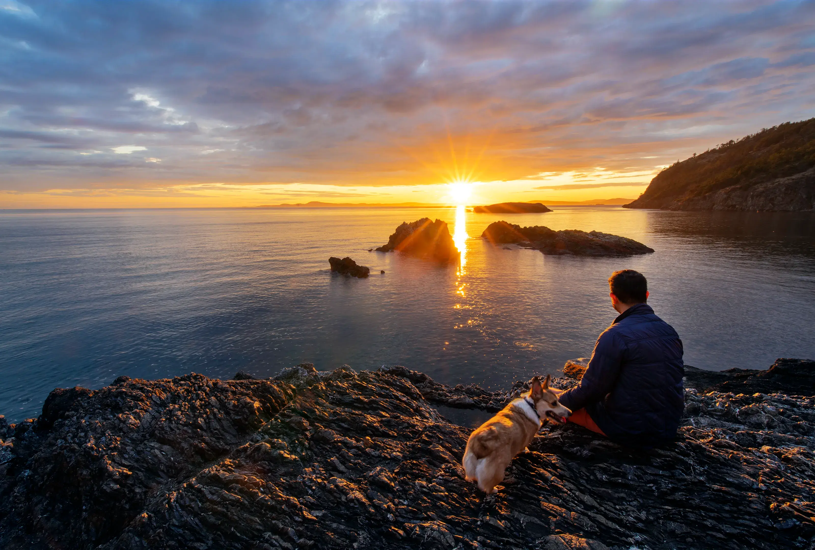 Sunset Watching With a Corgi