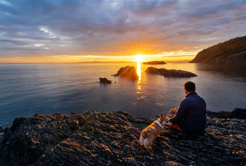 Sunset Watching With a Corgi